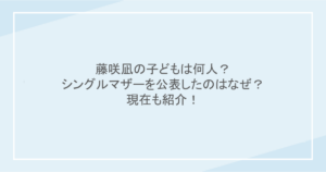 藤咲凪の子どもは何人?シングルマザーを公表したのはなぜ?現在も紹介!